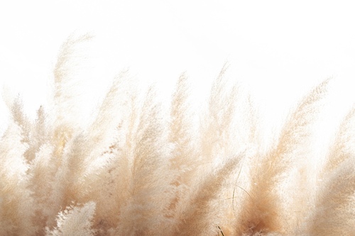 Olena Hartline